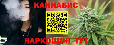 Альфа ПВП Обь