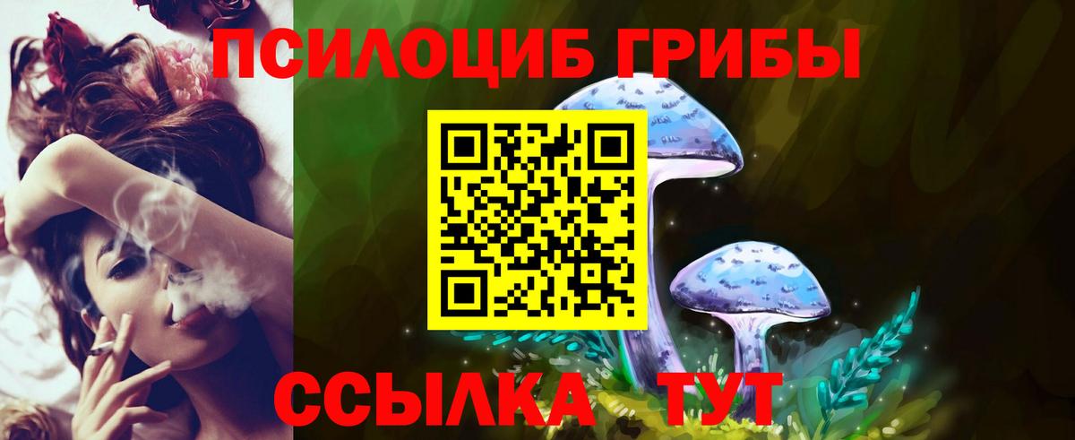 Псилоцибиновые грибы мицелий Вологда